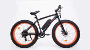 Leia mais sobre o artigo Bicicleta elétrica como meio de transporte sustentável e econômico, confira na Segs