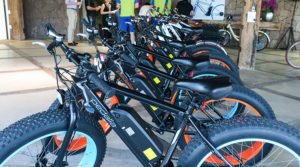 Leia mais sobre o artigo Bicicletas elétricas são destaque no site Brasil Cycle Fair